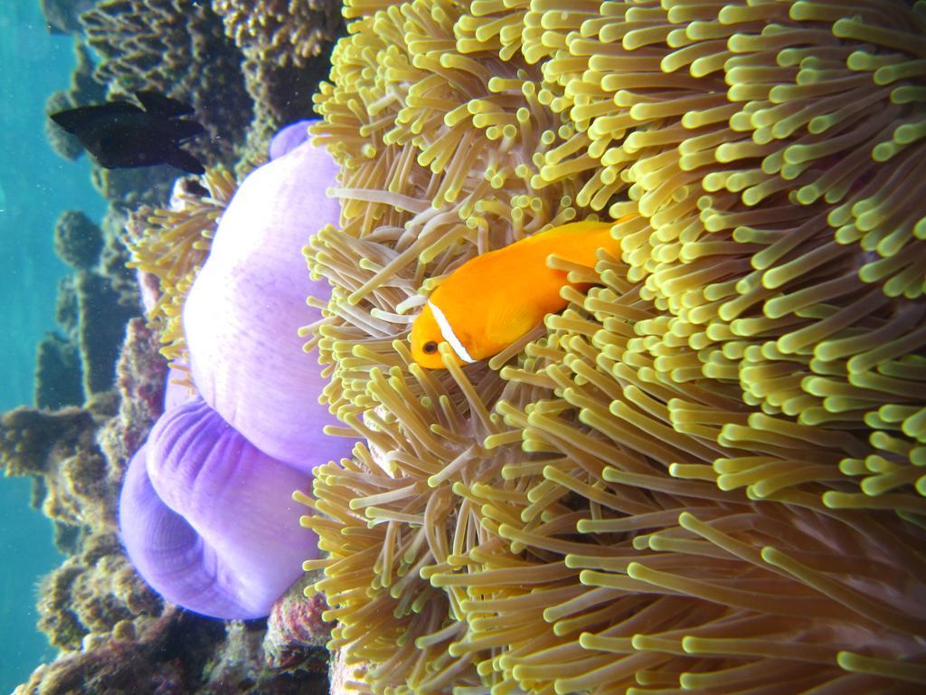 Marinabayvilla-Himandhoo Exteriér fotografie