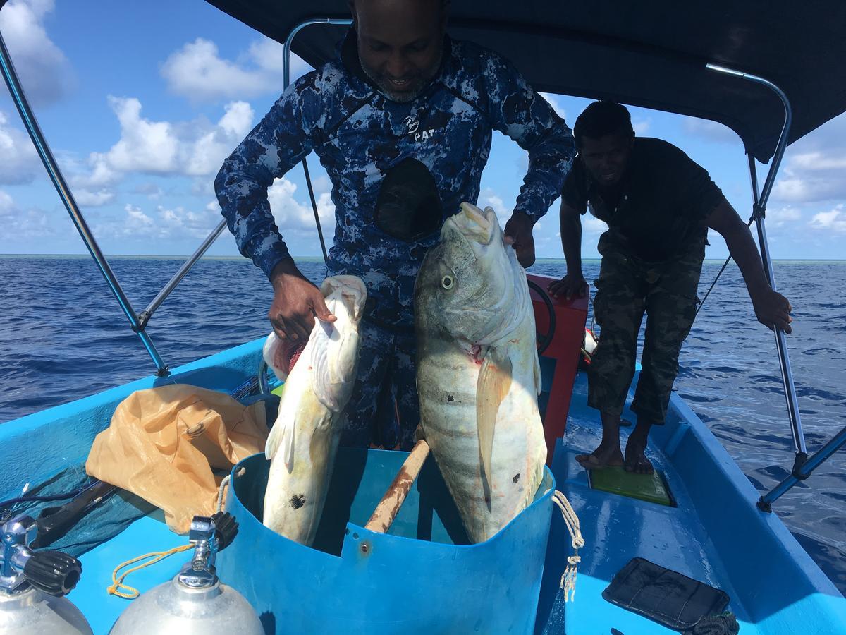 Marinabayvilla-Himandhoo Exteriér fotografie